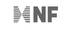 NF Group
