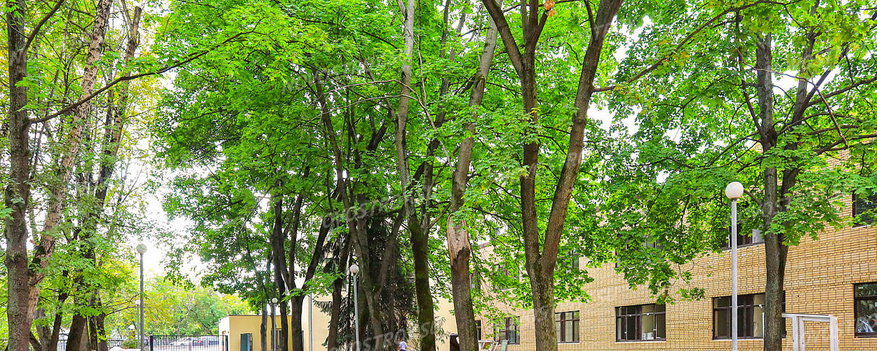 Апарт-отель «Апартаменты в Кусково»: ход строительства