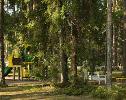 КП «Корабельные сосны», Август 2012