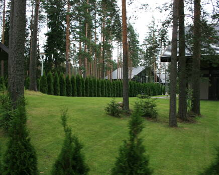 КП Patrikki Club, Август 2012