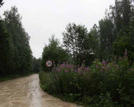 КП «Кристалл», Сентябрь 2012