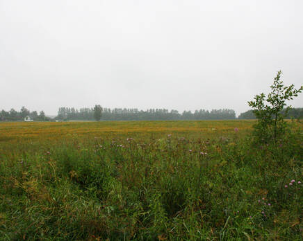 КП «Кристалл», Сентябрь 2012