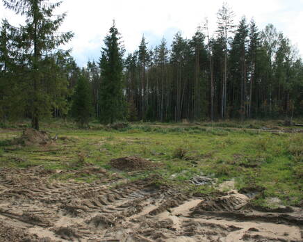 КП «Новый Петербург», Сентябрь 2012
