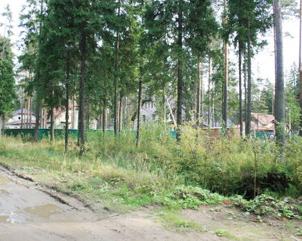 КП «Чехово», Сентябрь 2012