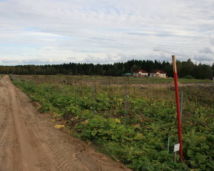 КП «Екатериновский», Октябрь 2012