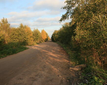 Школьное ДНП, Октябрь 2012