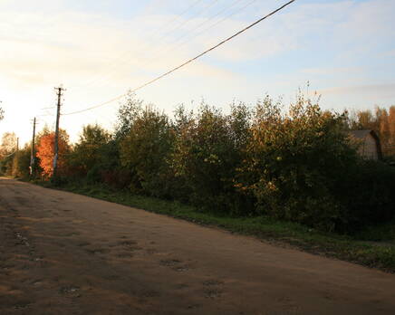 Школьное ДНП, Октябрь 2012