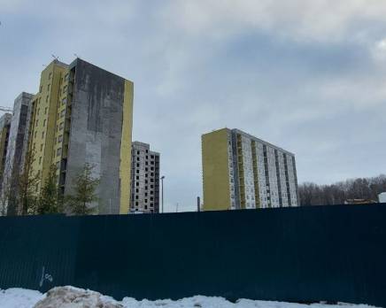 ЖК «ЛесART», Январь 2025