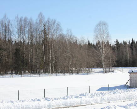 КП « Медовое», Апрель 2013