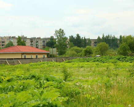 КП «Федоровская горка», Июнь 2013