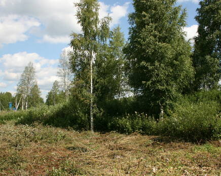 КП «Охтинская долина», Июнь 2013