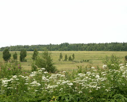 КП «Финская долина», Июнь 2013