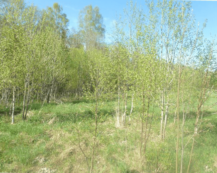 КП «Мед Души», Август 2013