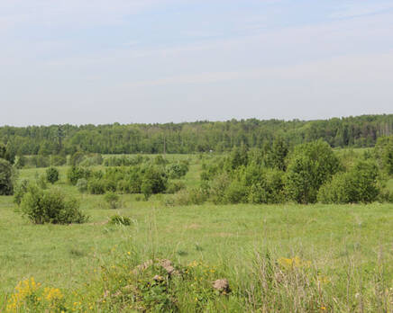 КП «Иволга», Сентябрь 2013