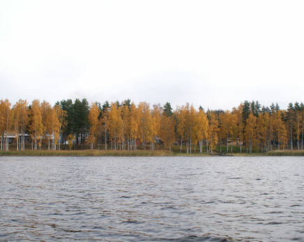 КП «Суходольское», Октябрь 2013