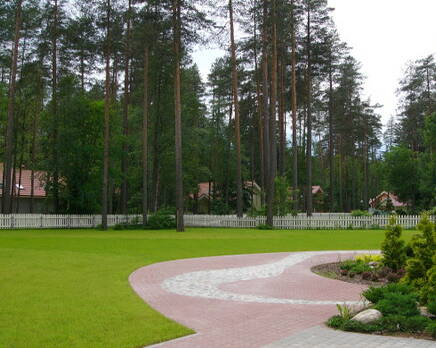 КП «Корабельные сосны», Январь 2014