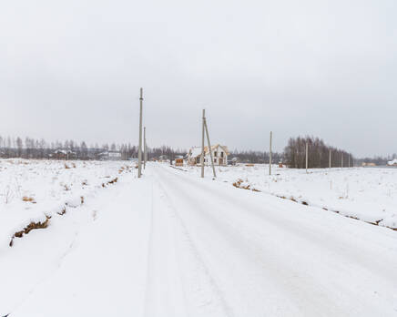 КП «Рыжики», Февраль 2014