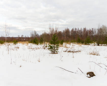 КП Honkaniemi (ДНП «Долина озер»), Апрель 2014