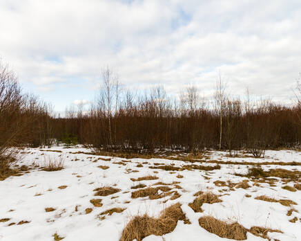 КП Honkaniemi (ДНП «Долина озер»), Апрель 2014