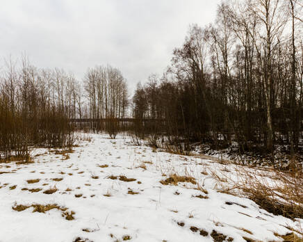 КП Honkaniemi (ДНП «Долина озер»), Апрель 2014