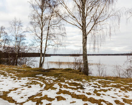 КП Honkaniemi (ДНП «Долина озер»), Апрель 2014