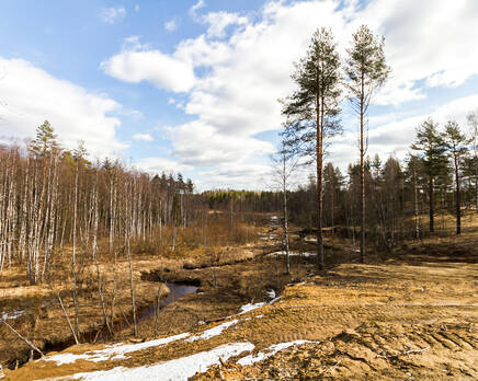 КП «Киварин ручей», Апрель 2014