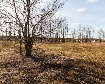 КП «Тайберри», Апрель 2014