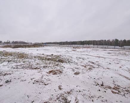 ЖК «Новое Пушкино», Декабрь 2025