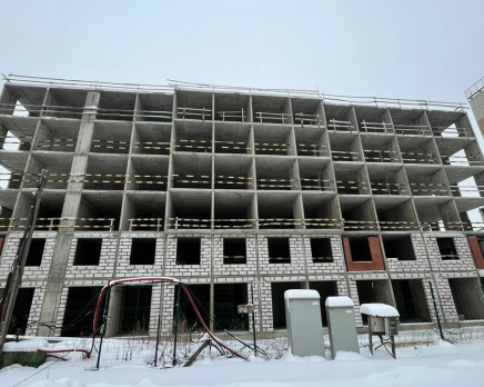 ЖК «е.волюция», Январь 2025