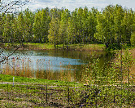 КП «Сад времени», Май 2014