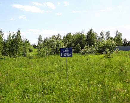 КП «Красноозерное-2», Июнь 2014