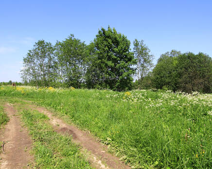КП «Солнечная долина», Июнь 2014