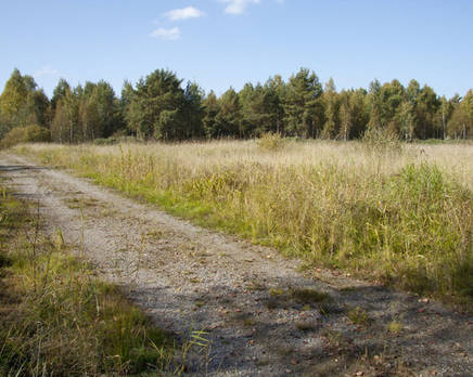 КП «Лаврово», Июнь 2014