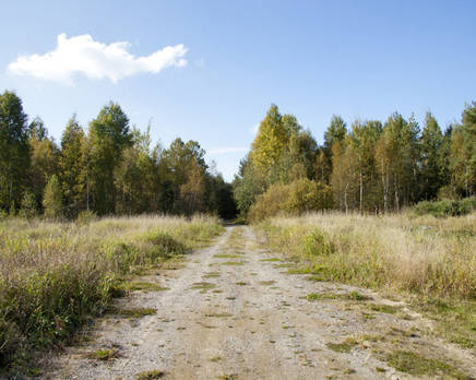 КП «Лаврово», Июнь 2014
