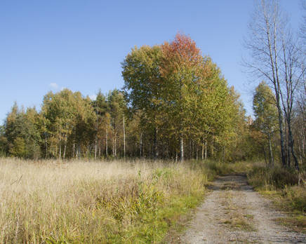 КП «Лаврово», Июнь 2014