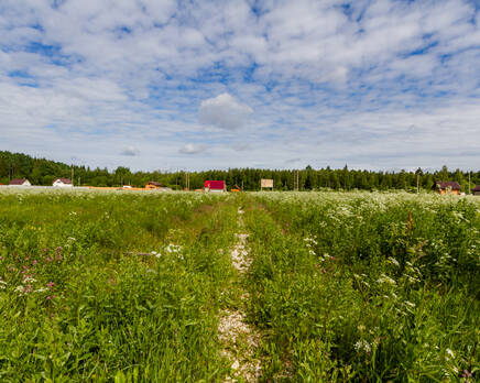 КП «Оредеж», Июль 2014