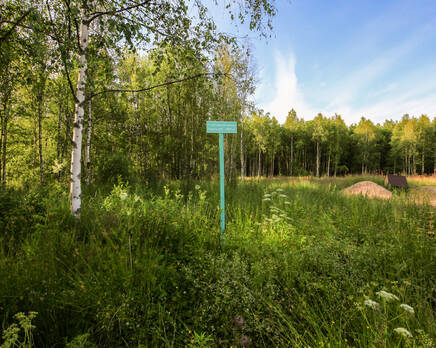 КП «Opushka», Июль 2014
