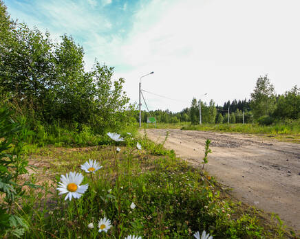 КП «Opushka», Июль 2014