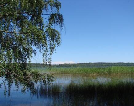 КП «Александровка», Декабрь 2014