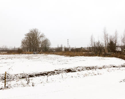 КП «Ягодное (Ломоносовский район)», Январь 2015