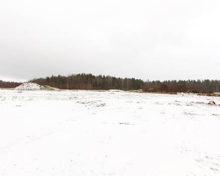 КП «Ягодное (Ломоносовский район)», Январь 2015