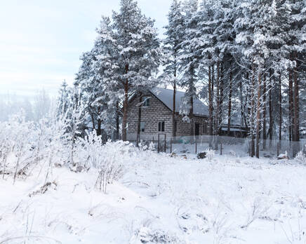 КП «Горское (Хвойное)», Февраль 2015