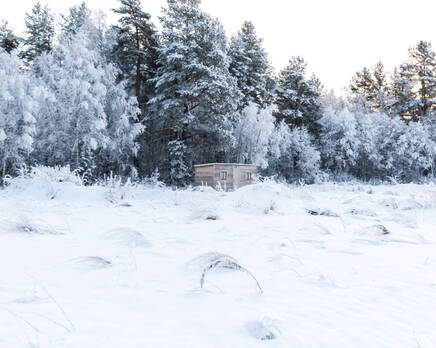 КП «Горское (Хвойное)», Февраль 2015