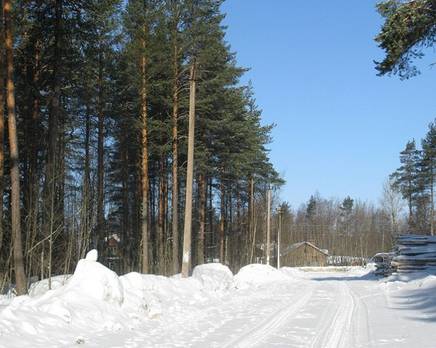КП Сосны (Всеволожский), Февраль 2015