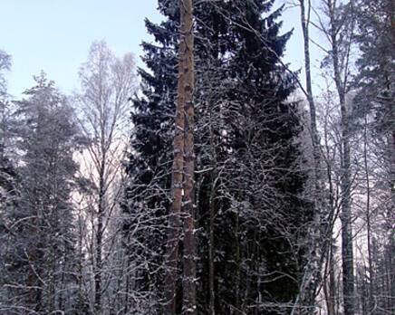 КП Приозерное («ИнвестСтрой»), Апрель 2015