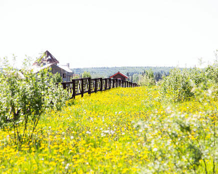 ЖК «Тироль» (I очередь), Ноябрь 2014