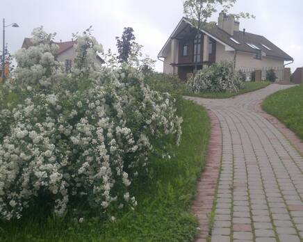 КП «Изумrood», Май 2015