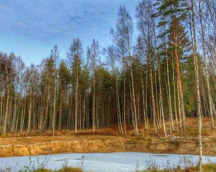 КП «Лесной хутор», Май 2015