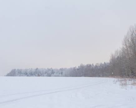 КП «Белые ночи»: 20.01.2016, Март 2016