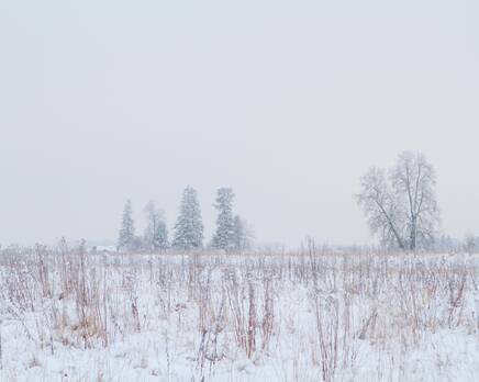 КП «Белые ночи»: 20.01.2016, Март 2016